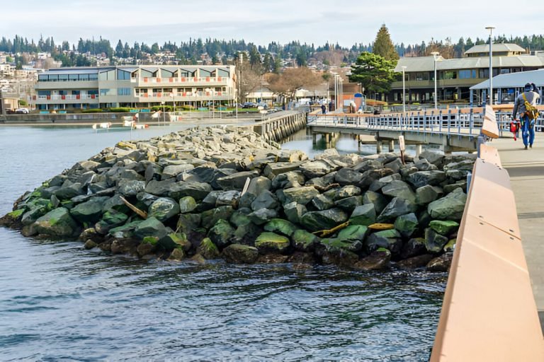 Edmonds Security Patrols: Enhancing Community Safety