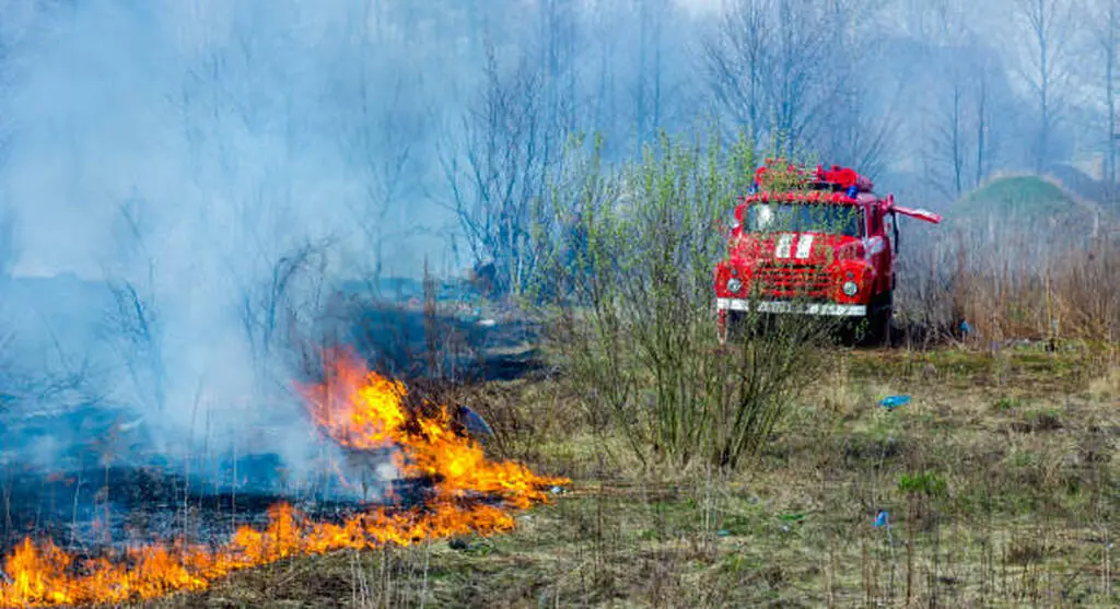 Fire Watch Security Maple Ridge